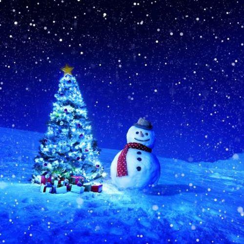 thumb-snowman.png